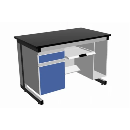Computer Lab Bench