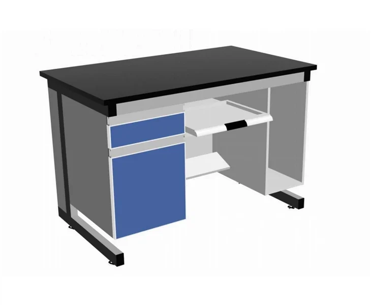 Computer Lab Bench