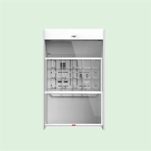 Walk In Fume Hood ( EULER)