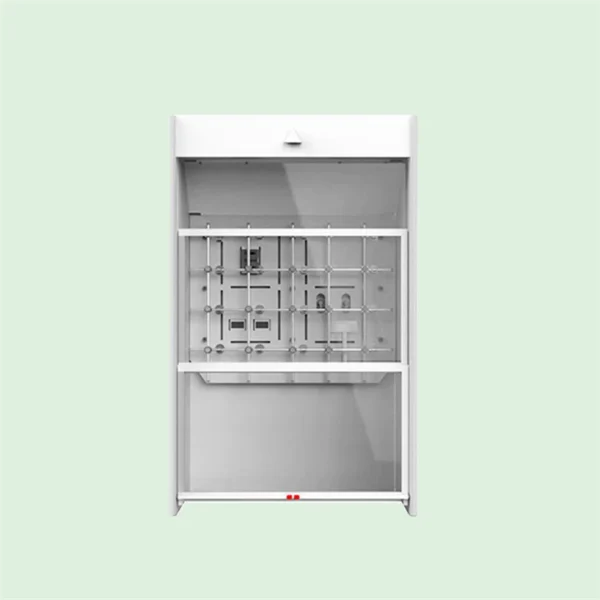 Walk In Fume Hood ( EULER)