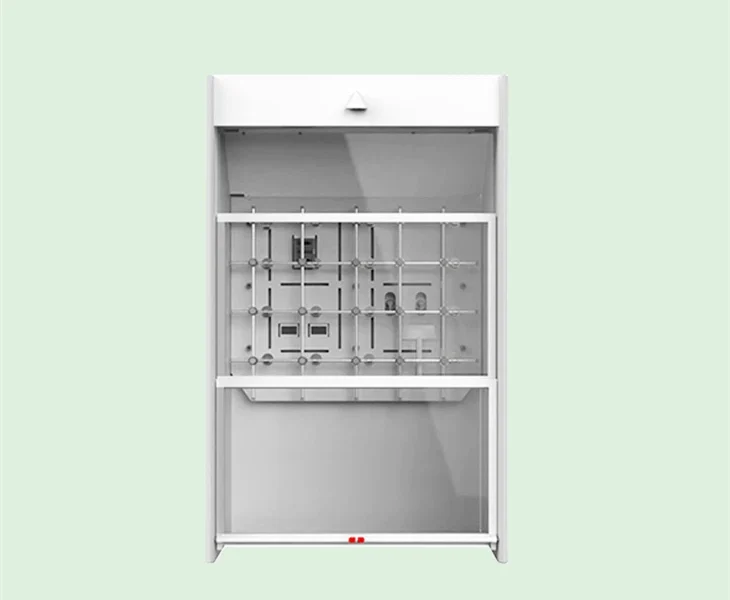 Walk In Fume Hood ( EULER)