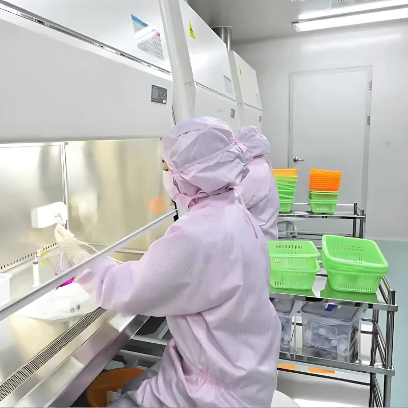 Researchers use the Boka Class II A2 Biological Safety Cabinet